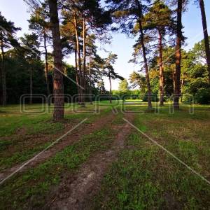 Mačkovec, Mačkovec, 55.355,00 m2, 700.000,00 EUR