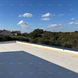 MARČANA - Prodaja: novi kompleks za eko-hotel u stilu Farm Retreat