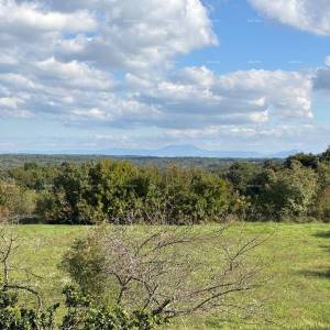 MARČANA - Prodaja: novi kompleks za eko-hotel u stilu Farm Retreat