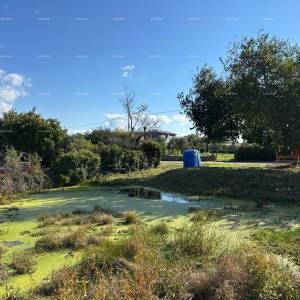 MARČANA - Prodaja: novi kompleks za eko-hotel u stilu Farm Retreat