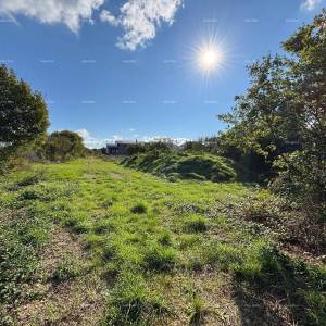 MARČANA - Prodaja: novi kompleks za eko-hotel u stilu Farm Retreat