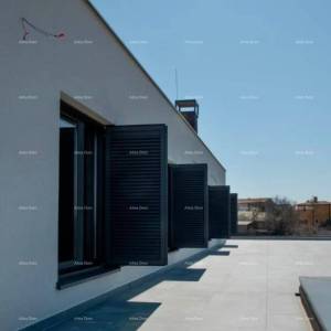 MARČANA - Prodaja: novi kompleks za eko-hotel u stilu Farm Retreat