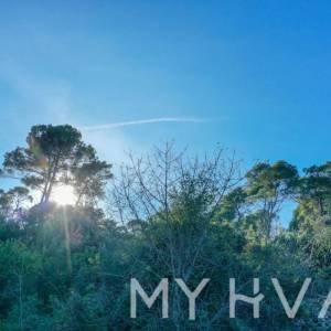 Maslinik i Vinograd sa Kućicom