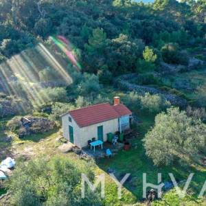 Maslinik i Vinograd sa Kućicom