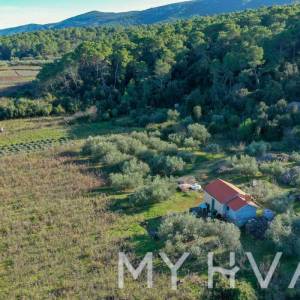 Maslinik i Vinograd sa Kućicom