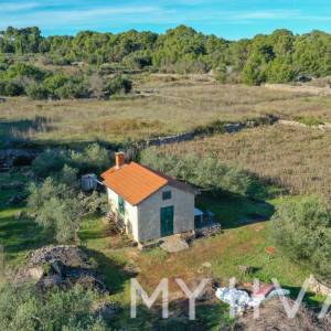 Maslinik i Vinograd sa Kućicom