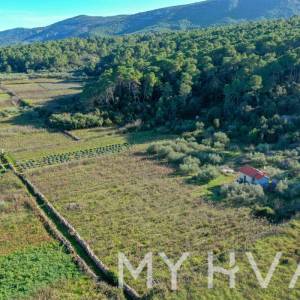 Maslinik i Vinograd sa Kućicom