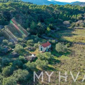 Maslinik i Vinograd sa Kućicom