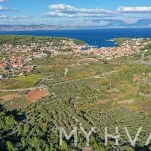 Maslinik s pogledom na more u Jelsi