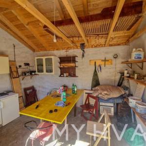 Maslinik s pogledom na more u Jelsi