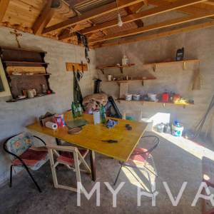 Maslinik s pogledom na more u Jelsi