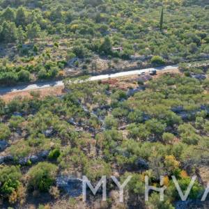 Maslinik u blizini Starog Grada