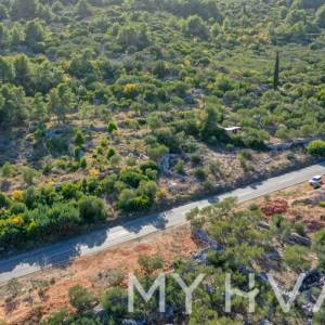 Maslinik u blizini Starog Grada