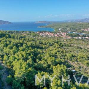 Maslinik u blizini Starog Grada