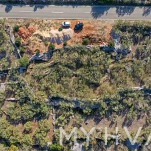 Maslinik u blizini Starog Grada