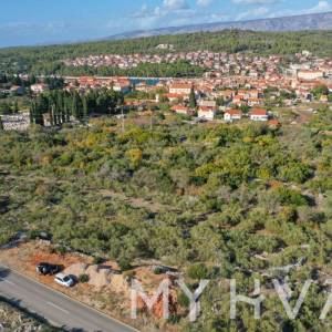 Maslinik u blizini Starog Grada