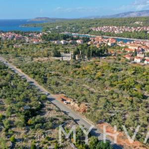 Maslinik u blizini Starog Grada