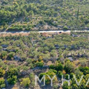 Maslinik u blizini Starog Grada