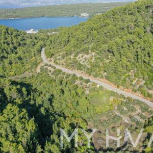 Maslinik u blizini trajektne luke