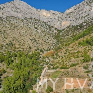 Maslinik u Ivan Dolcu s pogledom na more