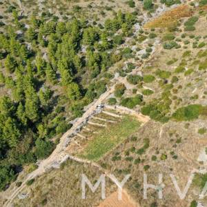 Maslinik u Ivan Dolcu s pogledom na more