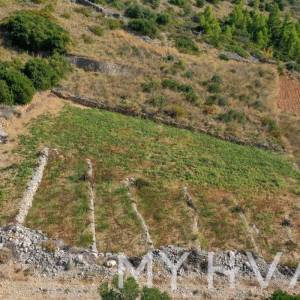 Maslinik u Ivan Dolcu s pogledom na more