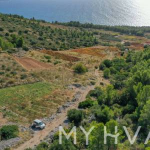 Maslinik u Ivan Dolcu s pogledom na more