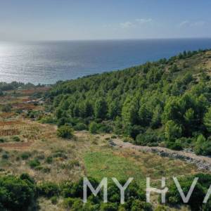 Maslinik u Ivan Dolcu s pogledom na more