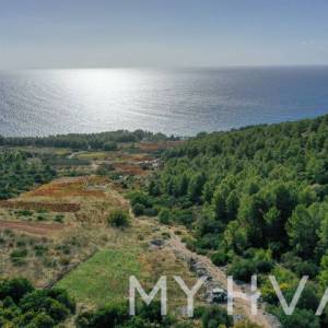 Maslinik u Ivan Dolcu s pogledom na more