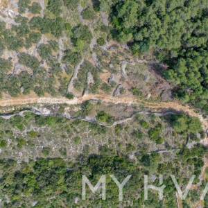 Maslinik u Poljicima