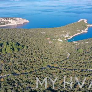 Maslinik u uvali Pokrivenik