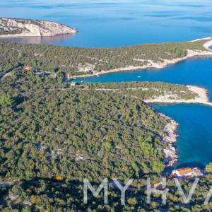 Maslinik u uvali Pokrivenik