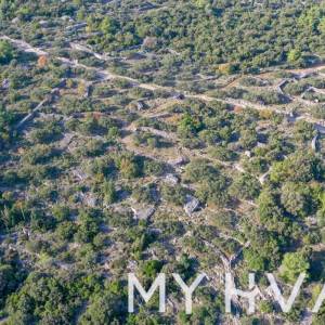 Maslinik u uvali Pokrivenik