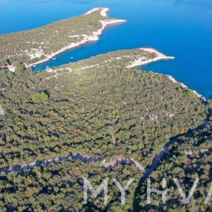 Maslinik u uvali Pokrivenik