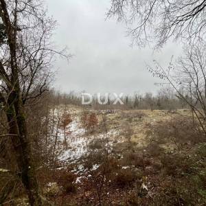 MATULJI, PERMANI - Veće poljoprivredno zemljište uz glavnu cestu