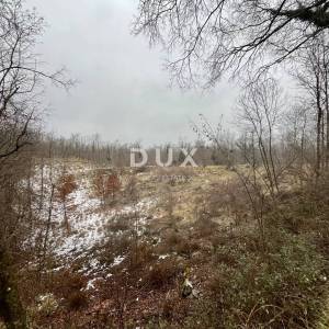 MATULJI, PERMANI - Veće poljoprivredno zemljište uz glavnu cestu