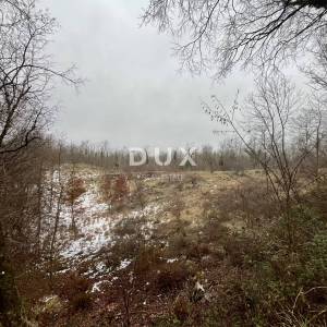 MATULJI, PERMANI - Veće poljoprivredno zemljište uz glavnu cestu