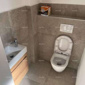 Moderna vila s bazenom i pogledom na more! Vodnjan