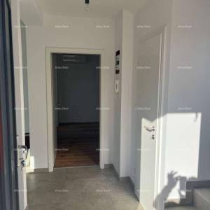 Moderna vila s bazenom i pogledom na more! Vodnjan