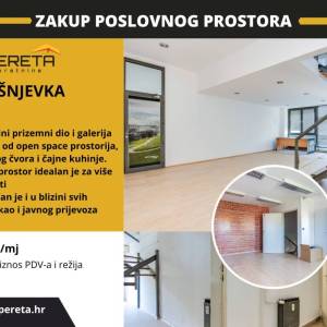 Najam, Ured, Trešnjevka, Selska, 300m2