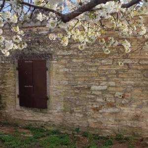 OBITELJSKA KUĆA, MUNTIĆ.  Udaljenost od centra grada Pule 8 km.