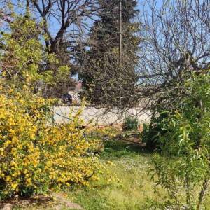 OBITELJSKA KUĆA, MUNTIĆ.  Udaljenost od centra grada Pule 8 km.