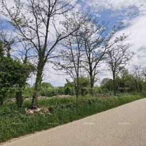 Odlično gradjevinsko zemljište za investiciju.