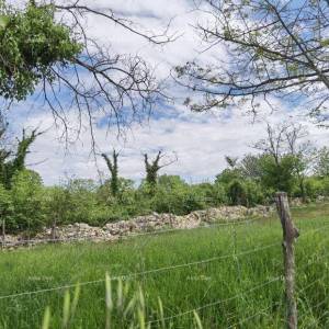 Odlično gradjevinsko zemljište za investiciju.