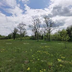 Odlično gradjevinsko zemljište za investiciju.