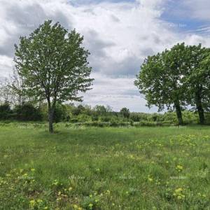 Odlično gradjevinsko zemljište za investiciju.