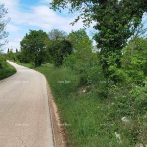 Odlično gradjevinsko zemljište za investiciju.