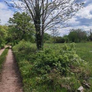 Odlično gradjevinsko zemljište za investiciju.