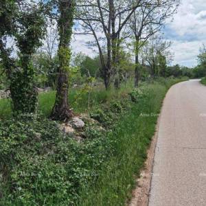 Odlično gradjevinsko zemljište za investiciju.