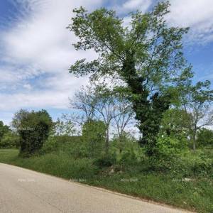 Odlično gradjevinsko zemljište za investiciju.